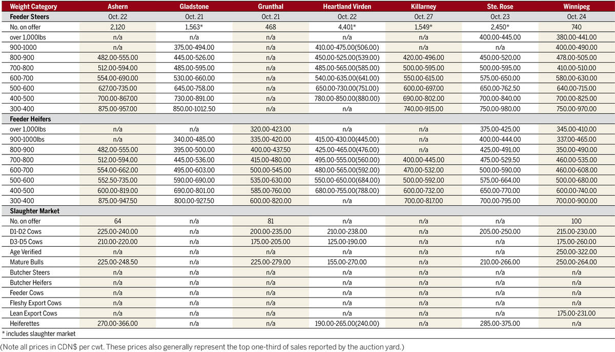 Prices from Manitoba's seven cattle auctions for the week of Oct. 21 to 28, 2025.
