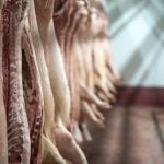 Photo: Smederevac/Getty Images Plus