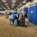 Students at MooMania at the 2025 Manitoba AG EX in Brandon learn about the cattle industry. Photo: Miranda Leybourne