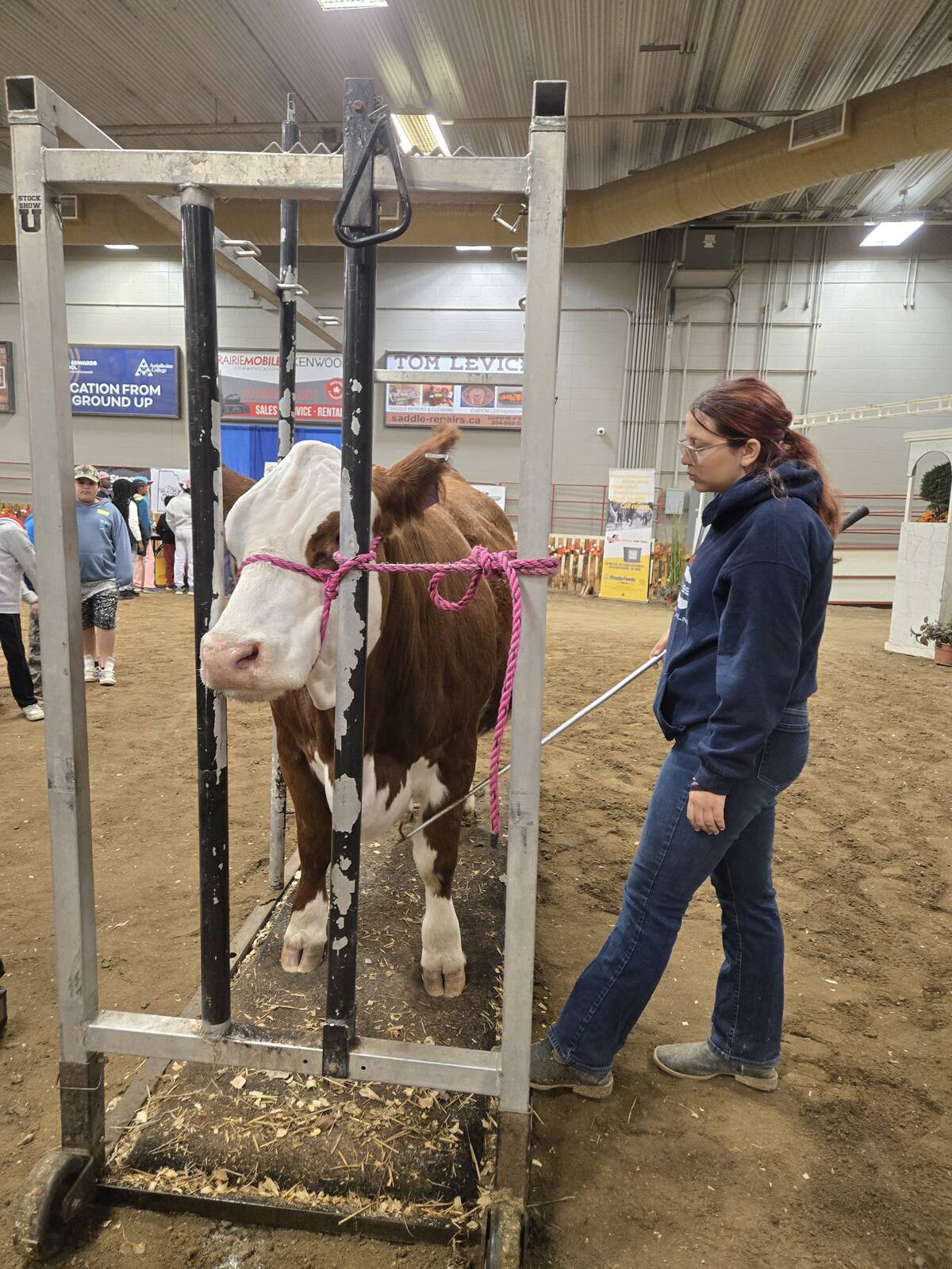 Kaelynn Dagg helps Brandon students learn about the cattle industry at MooMania at the 2025 Manitoba AG EX in Brandon. Photo: Miranda Leybourne