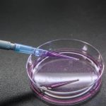 Special laboratory equipment is used in special or research laboratory. These technologies are applied for many cancer biology researches or pharmacology to improve patient treatment. Photo: Nilrat Wannasilp/iStock/Getty Images