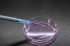 Special laboratory equipment is used in special or research laboratory. These technologies are applied for many cancer biology researches or pharmacology to improve patient treatment. Photo: Nilrat Wannasilp/iStock/Getty Images