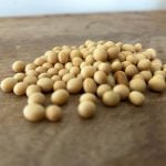 Soybean industry has choices for future direction
