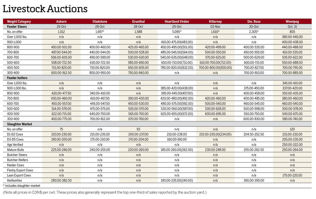 Cattle prices at Manitoba auction sites during the week ended Nov. 3, 2025.