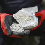 Male farmer working in an agricultural field using a fertilizer. Photo: GoodLifeStudio-Getty_Images