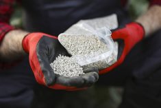 Male farmer working in an agricultural field using a fertilizer. Photo: GoodLifeStudio-Getty_Images