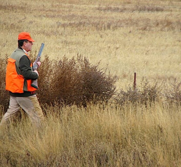 Late season hunts for sharp-tailed grouse and Hungarian partridge offer up a good workout. Photo: Tim Sopuck