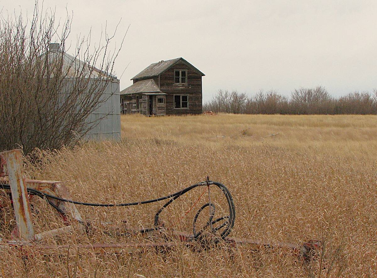 Abandoned farmyards are a good place to check for Hungarian partridge. Photo: Tim Sopuck