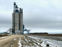 The former Viterra grain elevator, now owned by Carman's Linear Grain Inc., on Nov. 9, 2025. Photo: Alexis Stockford