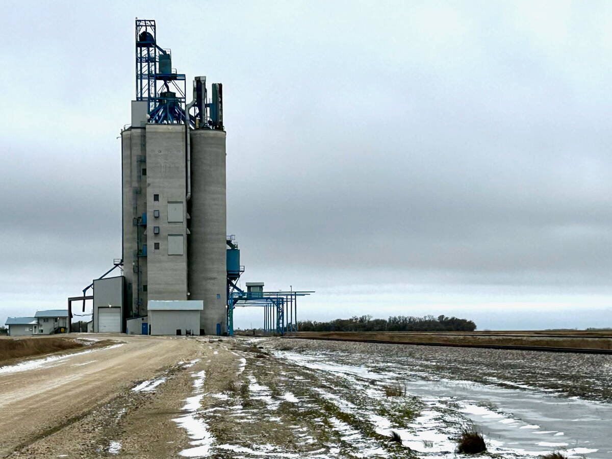 The former Viterra grain elevator, now owned by Carman's Linear Grain Inc., on Nov. 9, 2025. Photo: Alexis Stockford
