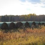 Photo: Geralyn Wichers
