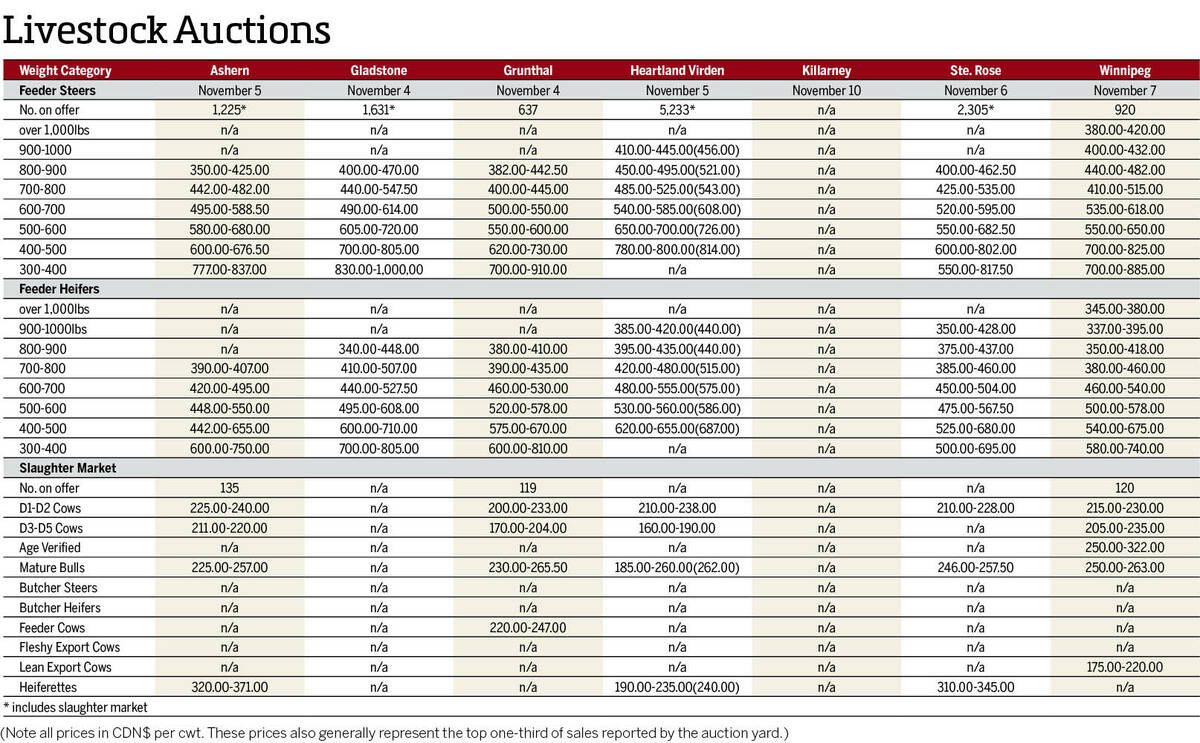 Manitoba Cattle table