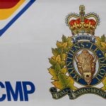 Man shot in hunting incident