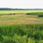 Manitoba farmers offered crop insurance carrot on marginal acres