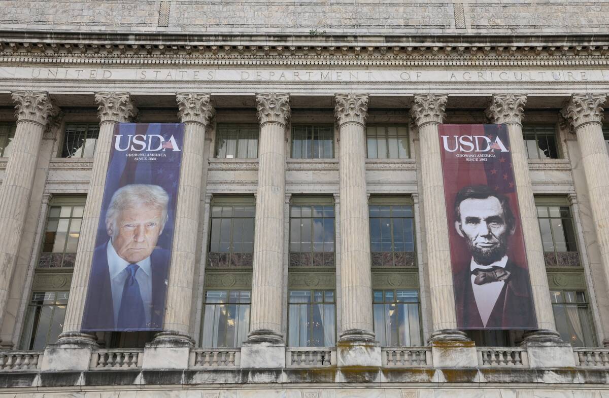 U.S. grains: Nearby corn futures firm as USDA reports big sales to China