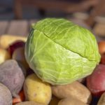Green cabbage is the most popular cabbage on the Prairies. Photo: Getty Stewart