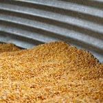 Photo: Kelsey Pangborn/iStock/Getty Images
