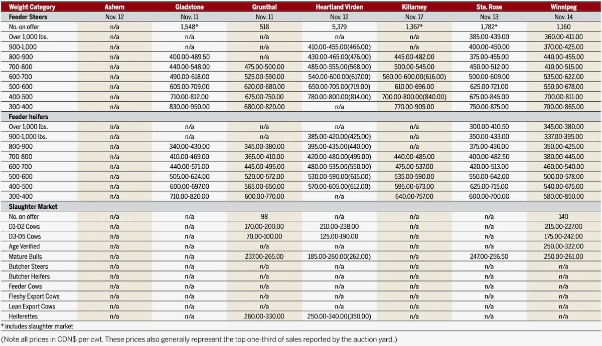 table of prices received at manitoba cattle auctions for week ending november 17 2025