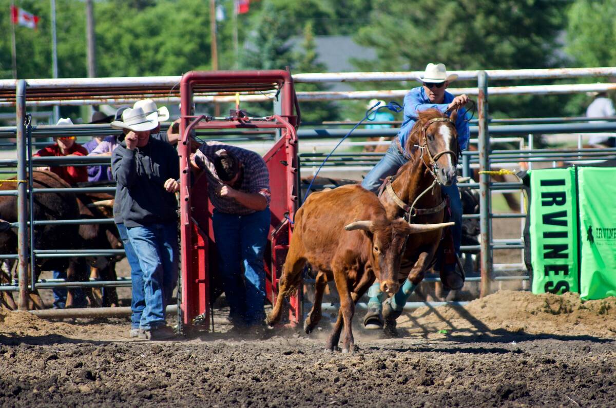 Horses asked to work as athletes on the weekend have less risk of injury if their training supports that high physical capacity during the week. Photo: Alexis Stockford
