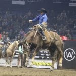 Agribition kicks off in Regina
