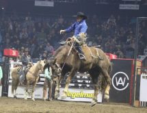 Rodeo is a big part of Agribition, as it was in this image from 2024. Photo: John Greig