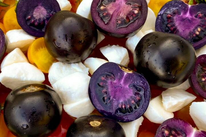Norfolk Healthy Produce's purple tomato used in a Caprese salad. Photo: Norfolk Healthy Produce