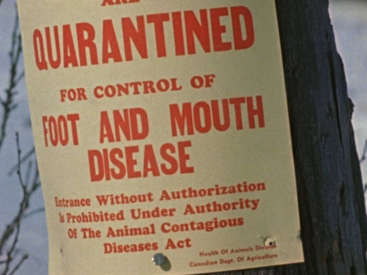 A quarantine sign on a fence post in rural Saskatchewan in 1952. Photo: Screen Capture/NFB/Agriculture and Agri-Food Canada