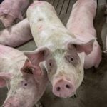 Photo: Geralyn Wichers
