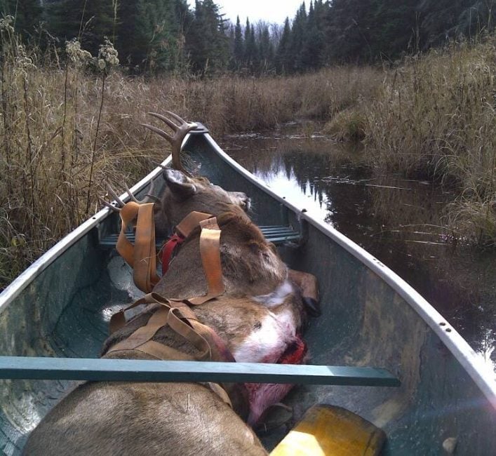 Hunting along waterways may offer an easy option for hauling out deer. Photo: Tim Sopuck