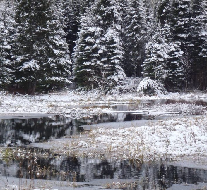 Beautiful vistas await the mixed woods deer hunter. Photo: Tim Sopuck 