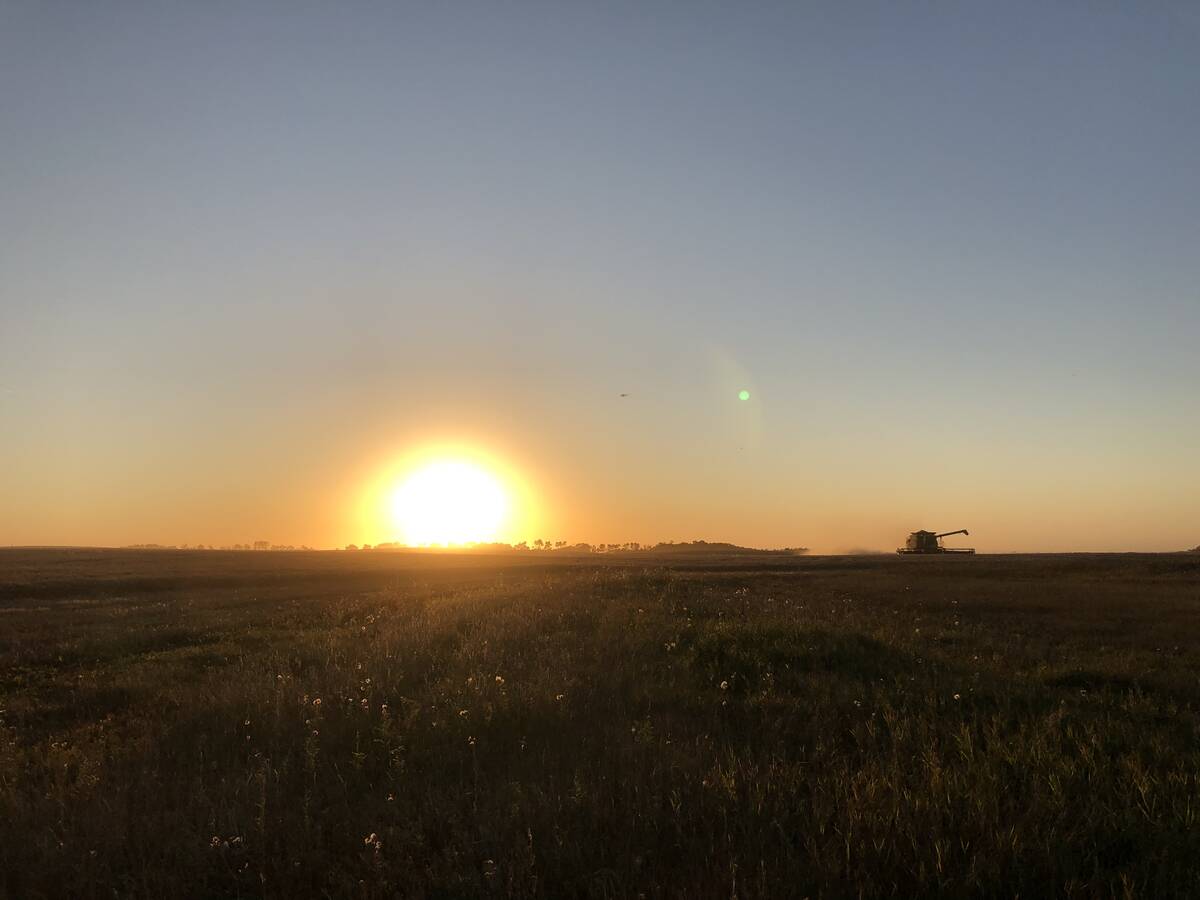 U.S. farm study finds no firm cancer link to glyphosate