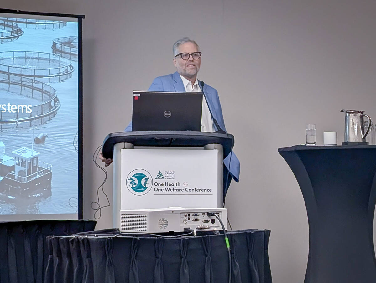 U.S. livestock: Hog futures rise to highest since July 2019