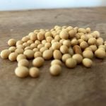 U.S. grains: Soy futures slide on China demand doubts