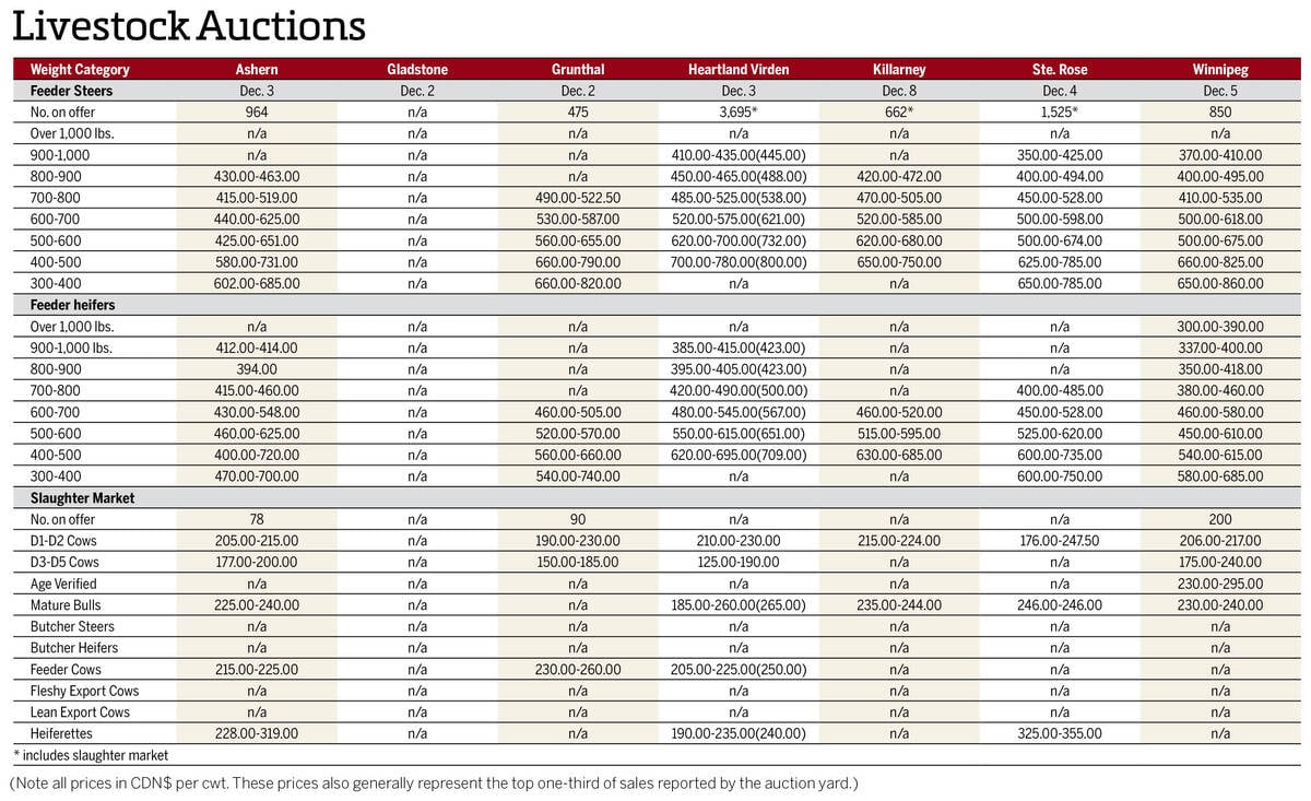 Manitoba cattle prices as of Dec. 9, 2025