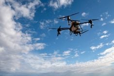Agricultural drone spreading fertilizer on a newly planted field in Argentina. Smart farm. Photo: Cristian Martin/Getty Images Plus