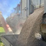 Riding market swings can add farm profit