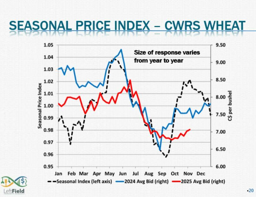 Average Canadian Western Red Spring wheat bids in 2025 have been lower for much of the year compared to the year before. Image: LeftField Commodity Research