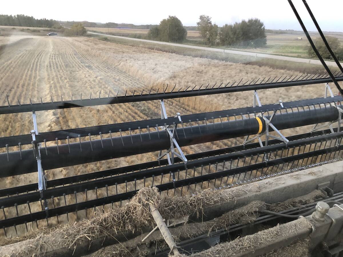 Wheat prices are generally lowest right off the combine, and highest right after seeding. Photo: File