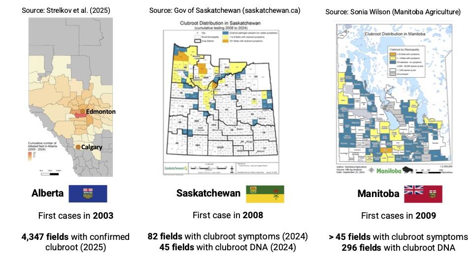 Alberta remains the epicentre of clubroot cases on the Prairies, as 98 per cent of the majority of cases have happened in that province | PP slide courtesy Stephen Strelkov