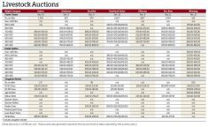 Weekly Manitoba cattle table as of Dec. 12, 2025