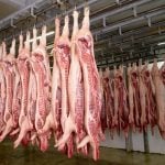 China&rsquo;s anti-dumping investigation began in June last year and has affected major pork exporters such as Spain, the Netherlands and Denmark. Photo: hrabar/iStock/Getty Images
