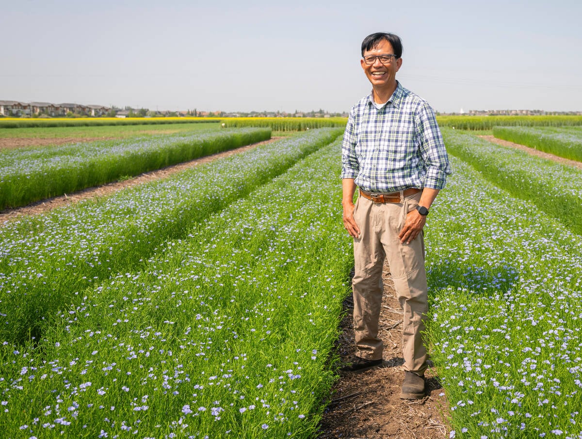 Bunyamin Taran, a flax and chickpea breeder at the University of Saskatchewan's Crop Development Centre, is trying to improve the heat tolerance of flax | Supplied photo