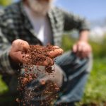 https://www.gettyimages.ca/detail/photo/senior-farmer-examining-earth-on-his-farm-royalty-free-image/1150306678?phrase=hands%20holding%20soil&adppopup=true
Photo: FluxFactory/iStock/Getty Stewart