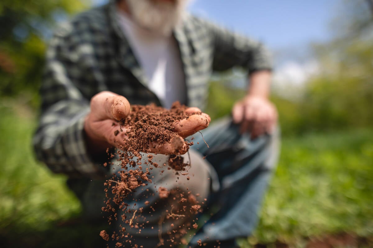 https://www.gettyimages.ca/detail/photo/senior-farmer-examining-earth-on-his-farm-royalty-free-image/1150306678?phrase=hands%20holding%20soil&adppopup=true
Photo: FluxFactory/iStock/Getty Stewart