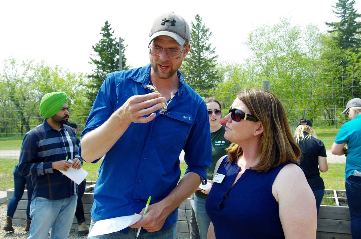 Participants try their hand at early weed identification during an educational day at Assiniboine College in 2019. Photo: Alexis Stockford