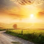 Still hard to predict precise fertilizer payback