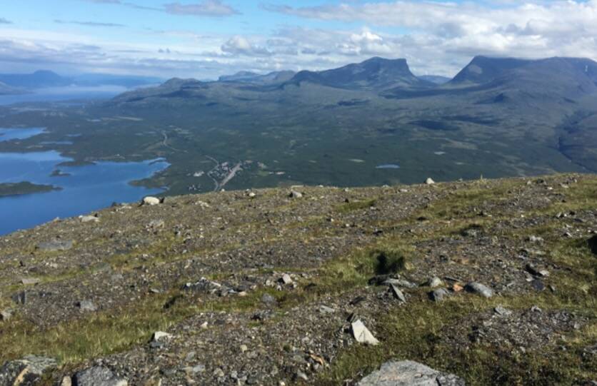 Reindeer graze these lands in Sweden. Photo: Courtesy Andrew MacDougall