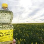 Even if GM food labelling was to become mandatory in Canada, food oils such as canola oil would be exempt due to lack of protein -- a key indicator in the identification of GMOs, said University of Saskatchewan professor Stuart Smyth. FILE PHOTO