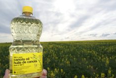 Even if GM food labelling was to become mandatory in Canada, food oils such as canola oil would be exempt due to lack of protein -- a key indicator in the identification of GMOs, said University of Saskatchewan professor Stuart Smyth. FILE PHOTO