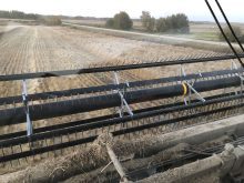 Wheat harvest in Binscarth, Manitoba on Sept. 25, 2025. Photo: Greg Berg